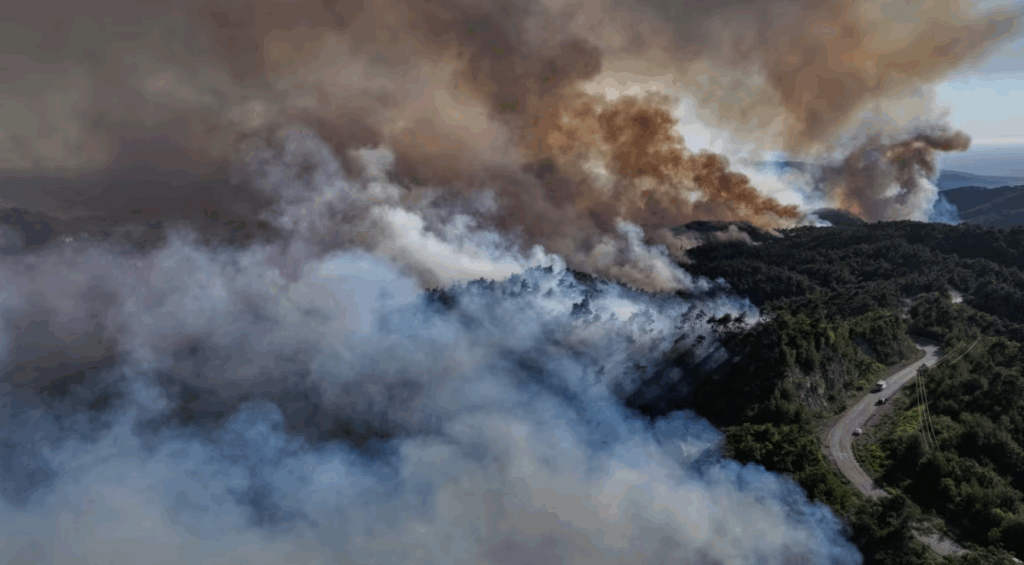 Wildfires sweep through forests in drought-hit Syrian coast in major test for new government